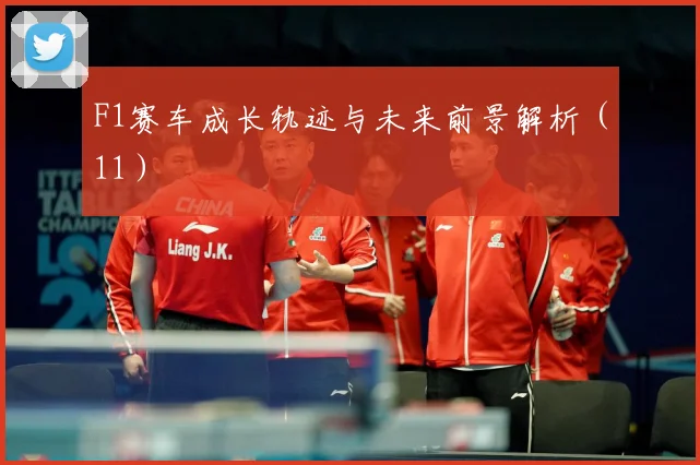 F1赛车成长轨迹与未来前景解析（11）