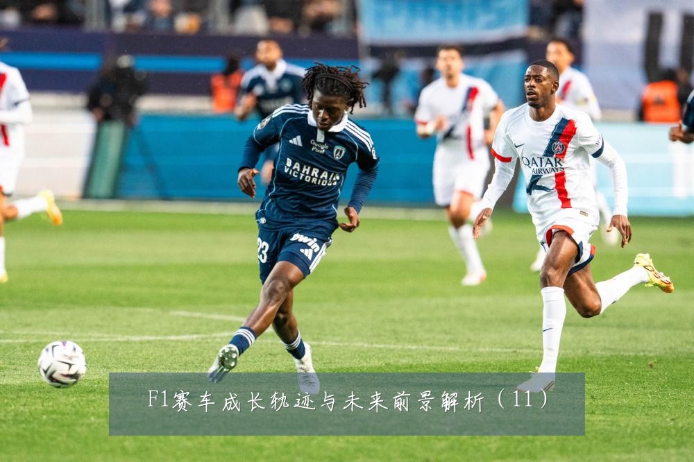 F1赛车成长轨迹与未来前景解析（11）